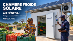 Chambre froide solaire au Sénégal : protégez vos stocks et maîtrisez votre énergie