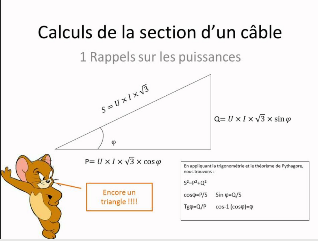 section cable électrique 