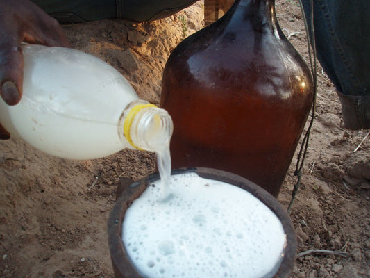 Danger de la Boisson pour Senegalais - NRJSOLAIRE