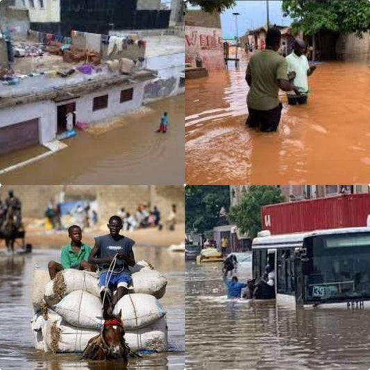 Energie solaire la solution aux inondations | Réchauffement climatique - NRJSOLAIRE