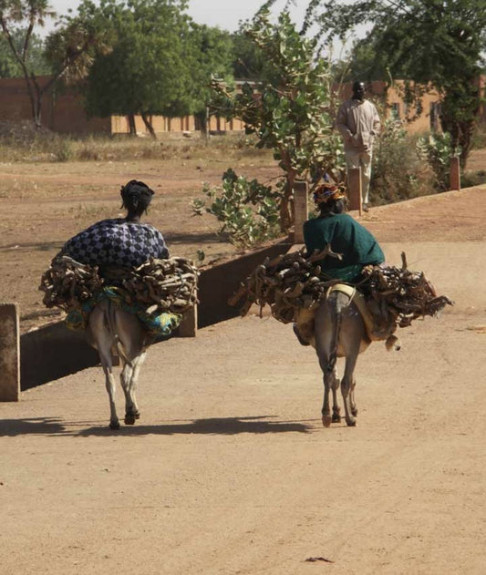 Introduction aux énergies renouvelables au Sénégal - NRJSOLAIRE