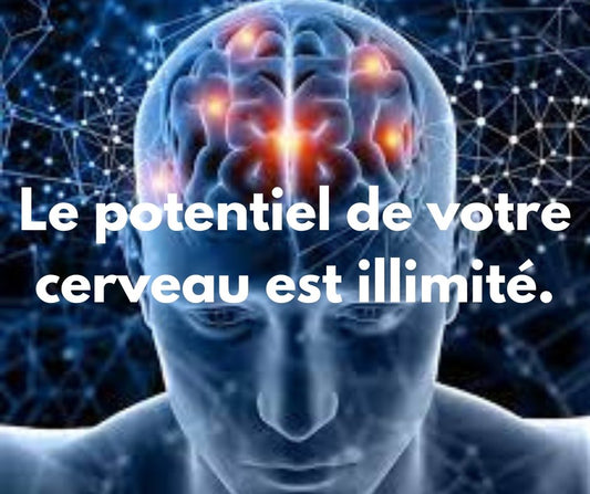 Le pouvoir de votre cerveau : une merveille de la nature à exploiter - NRJSOLAIRE