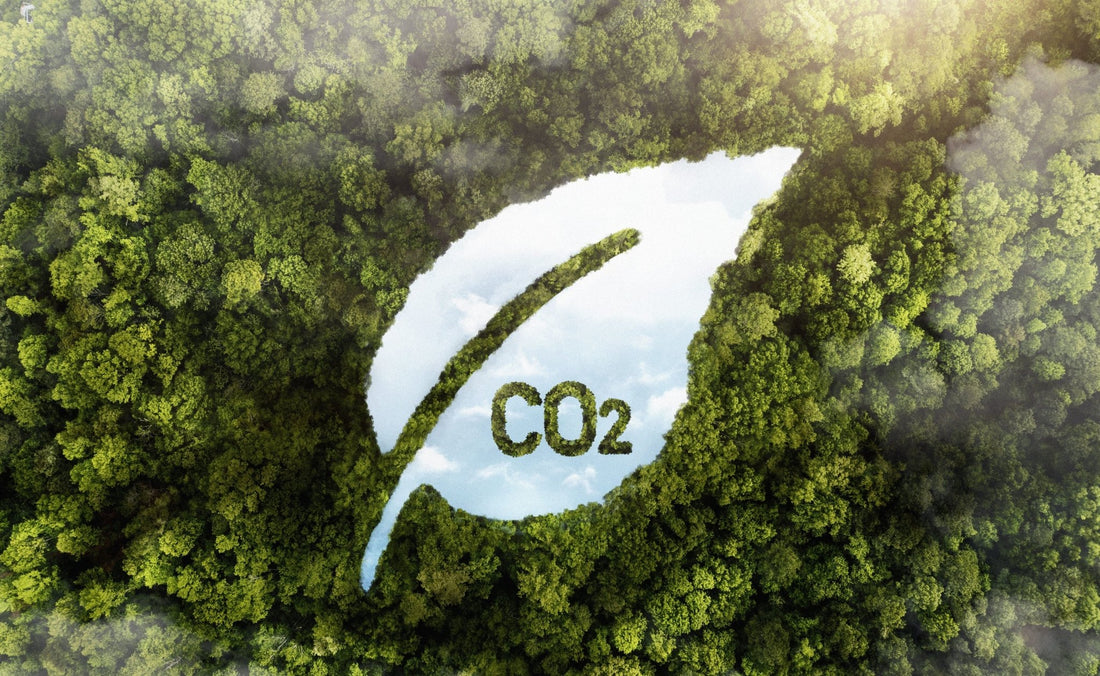 L'excès de CO2 menace-t-il le taux d'oxygène dans l'air ? - NRJSOLAIRE