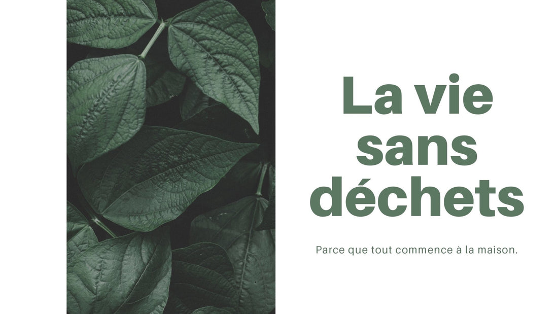 Pourquoi jetons-nous nos déchets dans la nature ? - NRJSOLAIRE