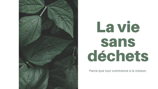 Pourquoi jetons-nous nos déchets dans la nature ? - NRJSOLAIRE